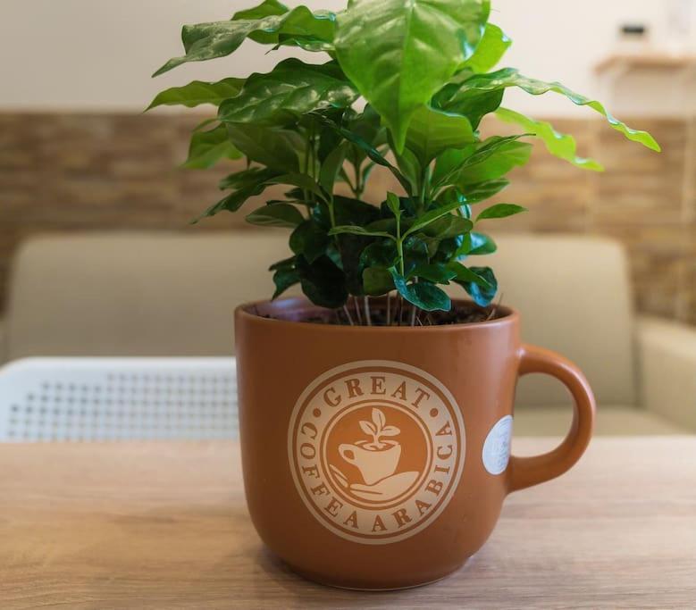 Ferienwohnung Il Tempo Di Un Caffe Neapel Exterior foto